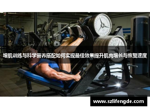 增肌训练与科学营养搭配如何实现最佳效果提升肌肉增长与恢复速度