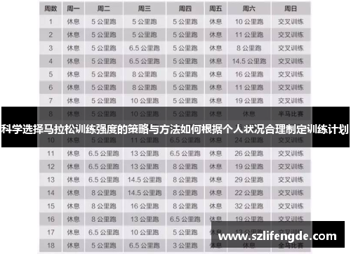 科学选择马拉松训练强度的策略与方法如何根据个人状况合理制定训练计划