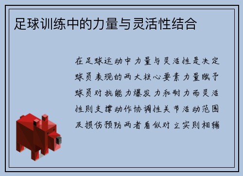 足球训练中的力量与灵活性结合